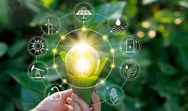 One day workshop- Energy Conservation Practices &LED X’mus star making